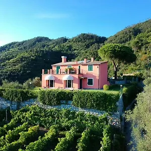 Affittacamere La Vignana - 5 Terre, Levanto